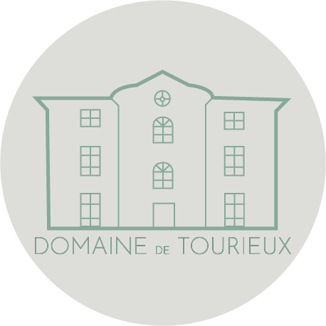 Logo domaine gris clair